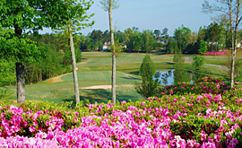 Things to Do in Georgia
